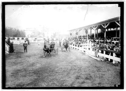Horse show, (Wash., D.C.), May 3, 1917 LCCN2016851011