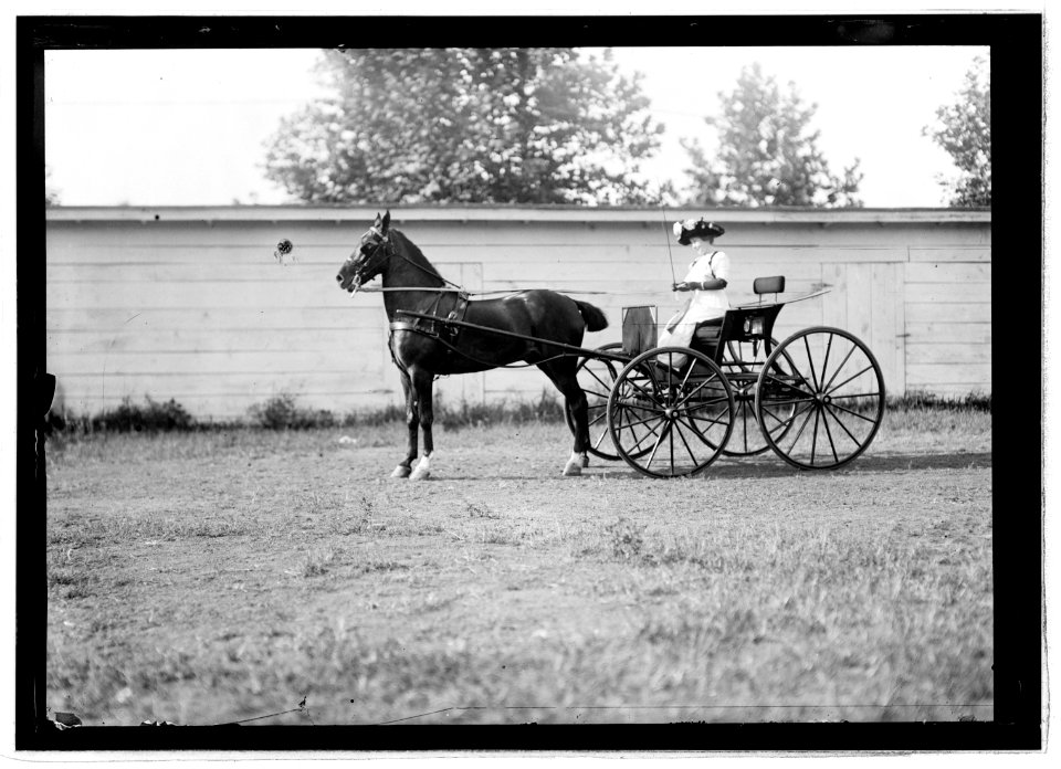Horse show, July 1912 LCCN2016851064