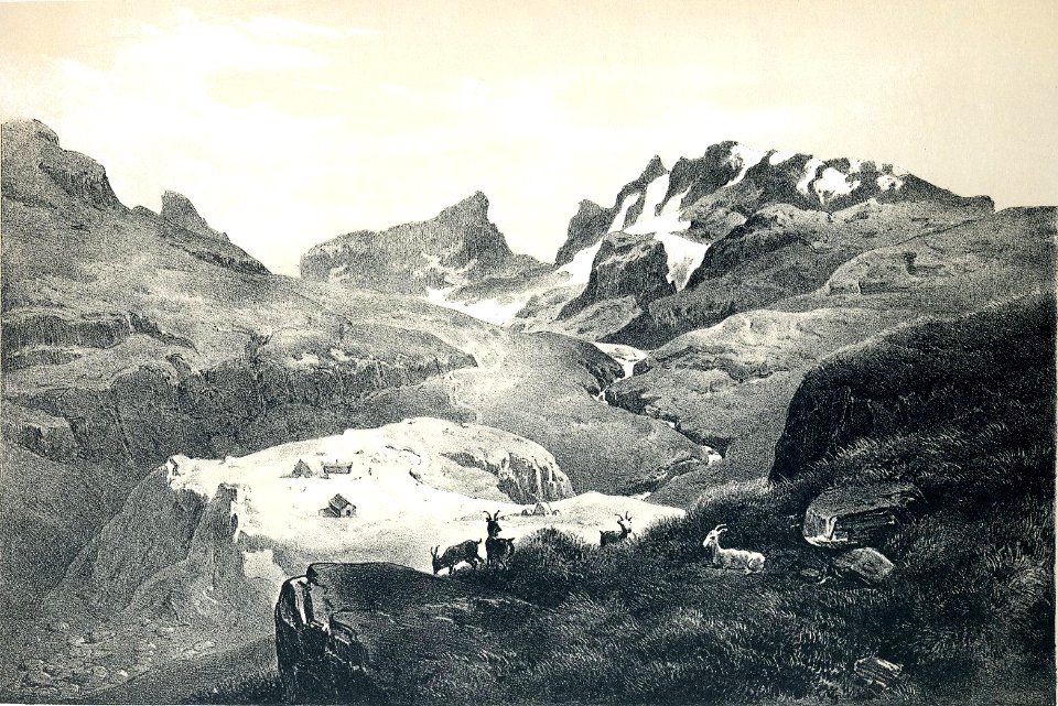 Horungerne024