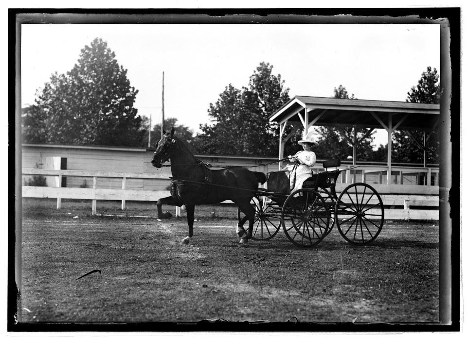 Horse show, July 1912 LCCN2016851061