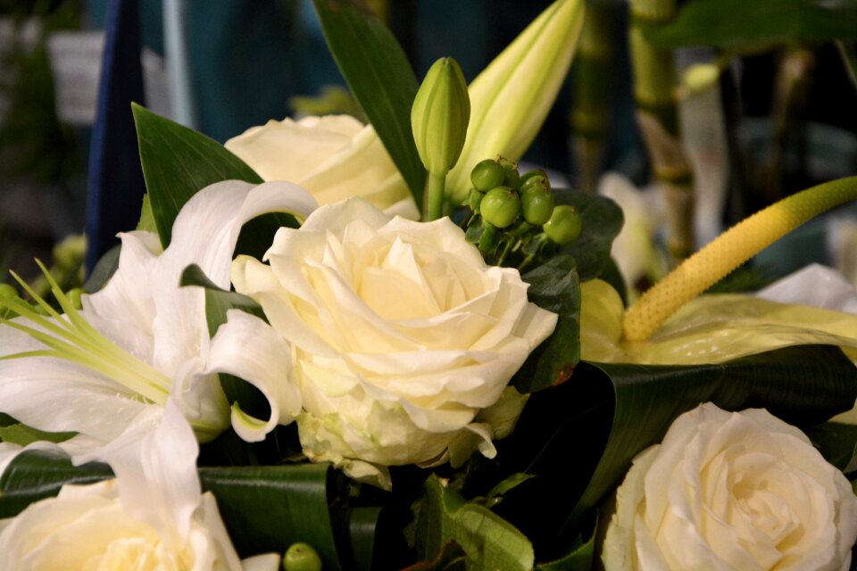 Bouquet wedding nature photo