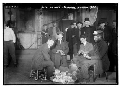 Hotel de Gink - preparing Mulligan stew LCCN2014698227