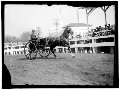 HORSE SHOWS. UNIDENTIFIED MEN, DRIVING LCCN2016863309 photo