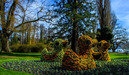 Colorful sculpture mainau island