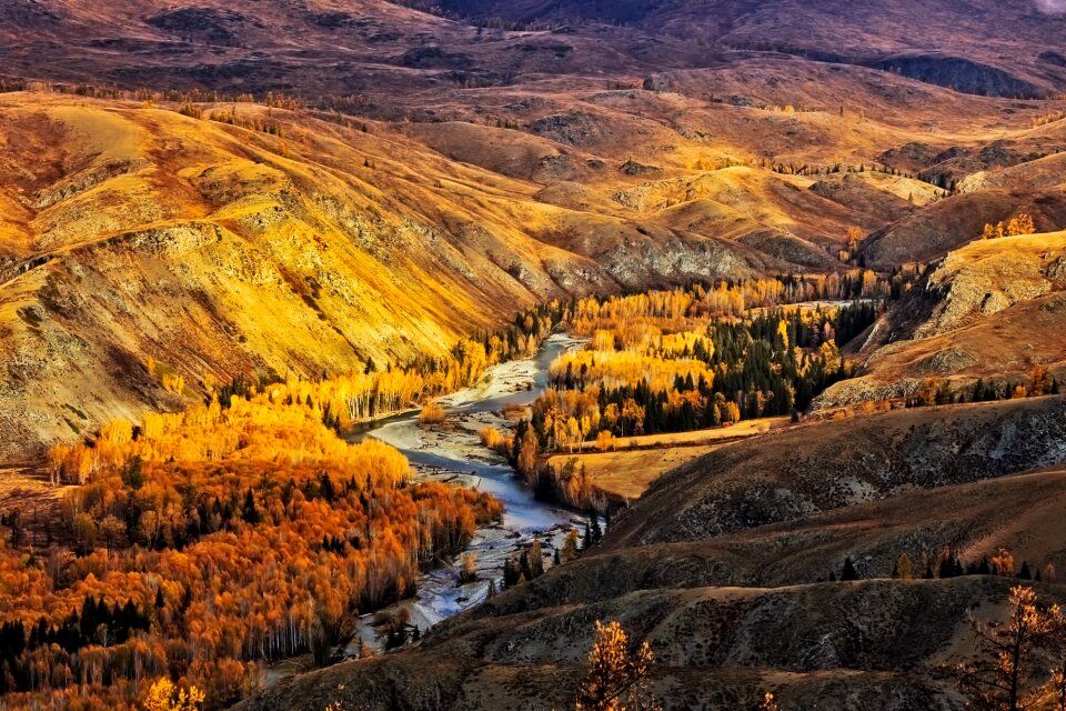 Fall autumn colorful