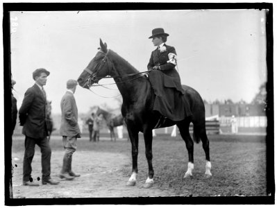 HORSE SHOWS. MRS. ALLEN POTTS, DRIVING AND RIDING LCCN2016863556 photo