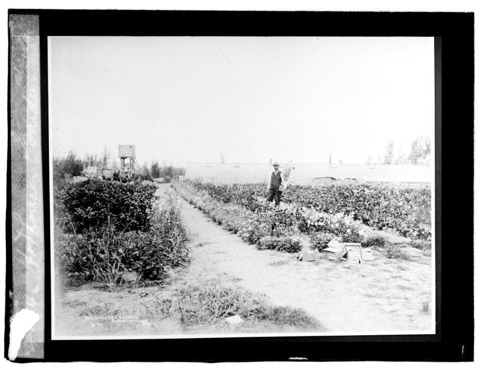 Hothouse Garden, Alaska LCCN2016819545