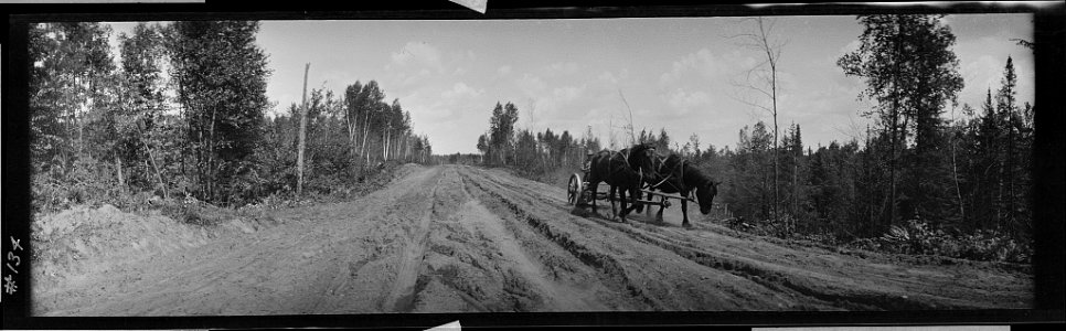 Horse team, muddy road LCCN2017656430