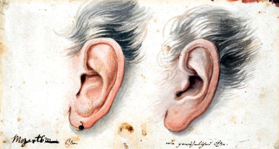 Houghton Autograph File M - Mozart ear photo