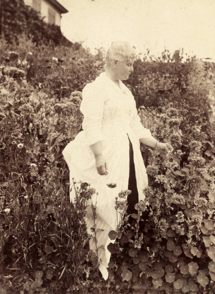 Houghton MS Am 1272.2 - Celia Thaxter, 1899 - edit