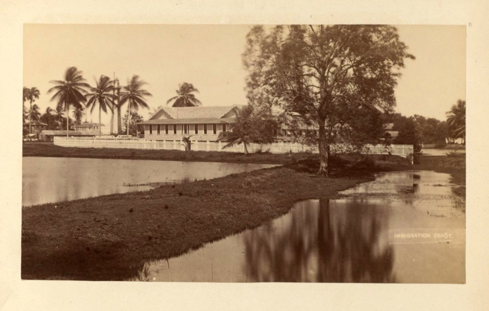 Houghton MS Am 2211 (11) - Demerara, immigration depot