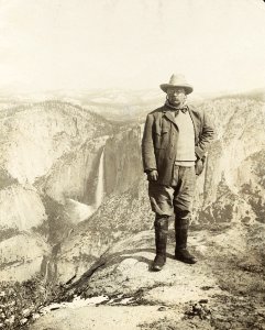 Houghton Roosevelt 560.51 1903-117
