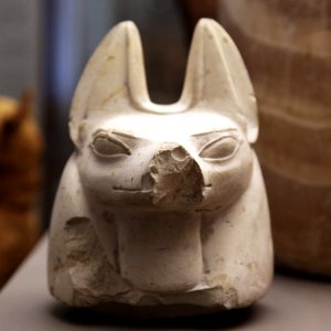 Hound-shaped canope plug-MAHG D 499-IMG 9874