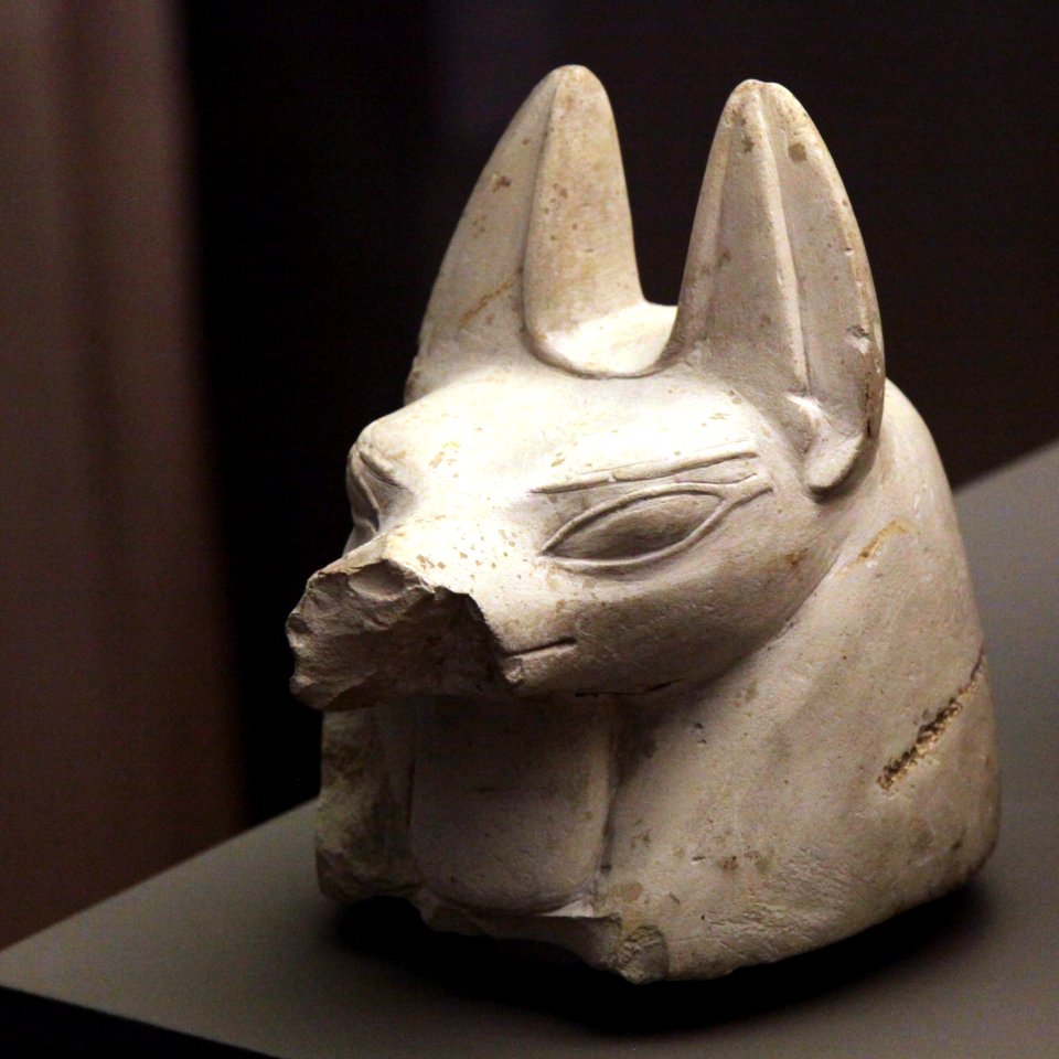 Hound-shaped canope plug-MAHG D 499-IMG 9872