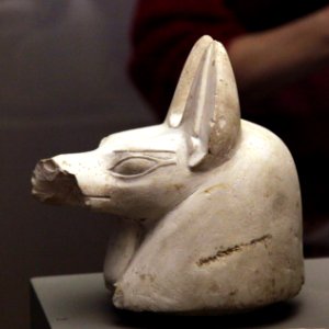 Hound-shaped canope plug-MAHG D 499-IMG 9876