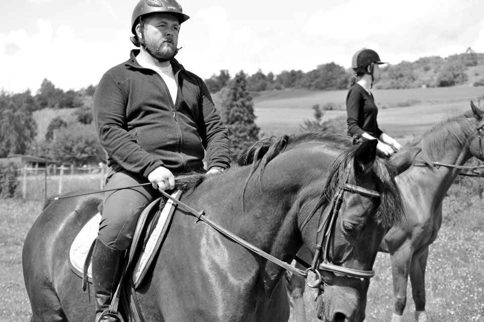 Picture black and white horse