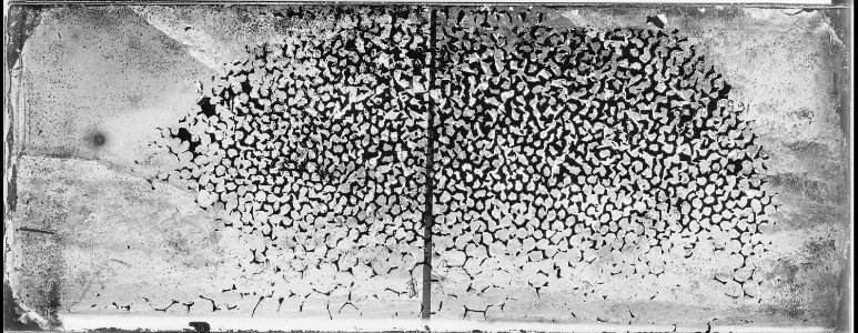 Hot Spring, Ruby Valley, Nevada - NARA - 519614