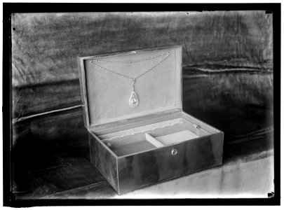 HOUSE OF REPRESENTATIVES. GIFTS TO JESSIE WILSON LCCN2016865038