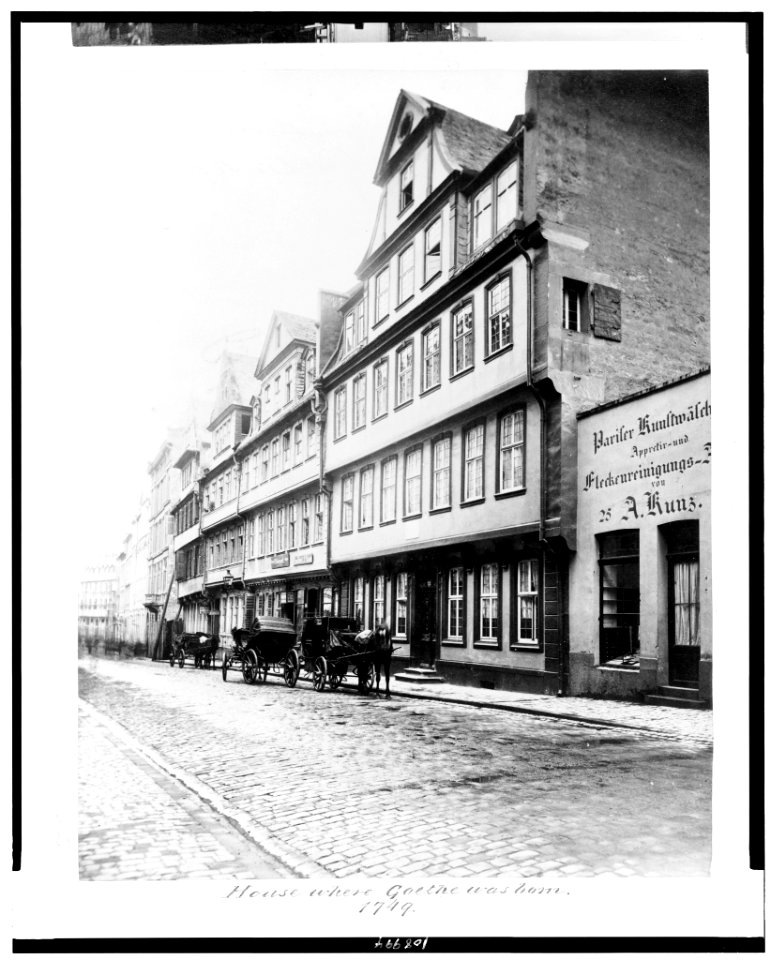 House where Goethe was born, 1749 LCCN94513822