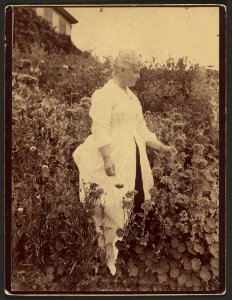Houghton MS Am 1272.2 - Celia Thaxter, 1889 photo