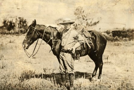 Houghton Roosevelt 520.14-007