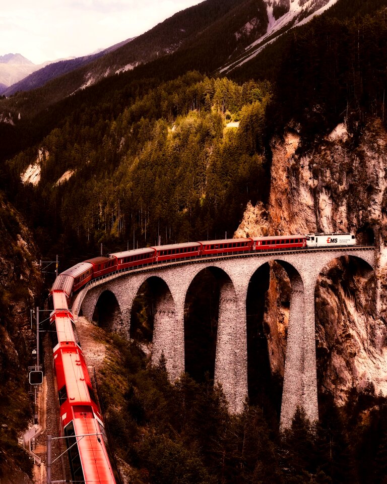 Switzerland mountains forest