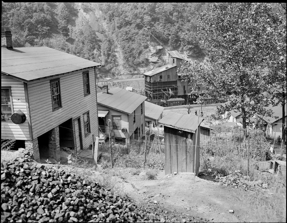 Houses and privies on the hillside. Southern Coal Corporation, Bradshaw Mine, Bradshaw, McDowell County, West Virginia. - NARA - 541037