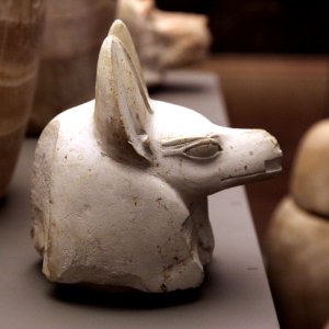 Hound-shaped canope plug-MAHG D 499-IMG 9870