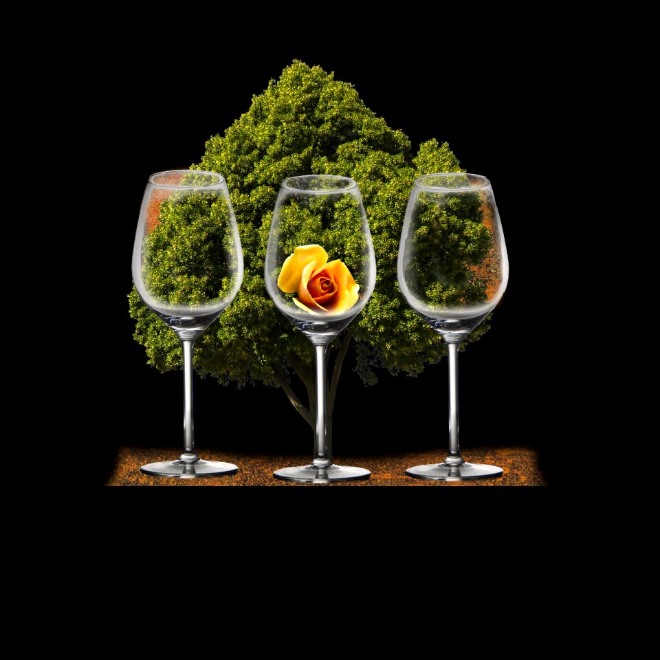 Alcohol wine glass rose