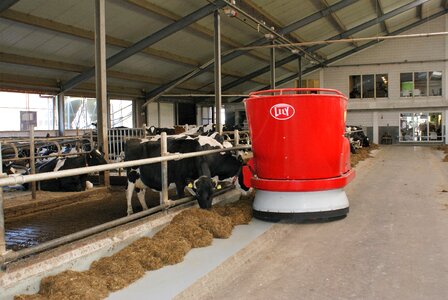 Robot lely cows