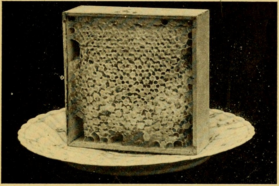 How to Keep Bees 139b