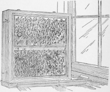 How to Keep Bees 22b