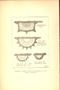 Howard 1911 Figure 04 Horizontal Sections 939