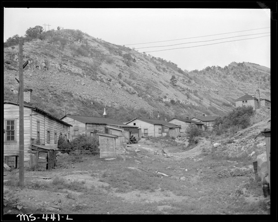 Houses owned by Mrs. Rain, company collects rent for them. (Back yards of houses). Hi Heat Coal Company, Rains ^2... - NARA - 540414