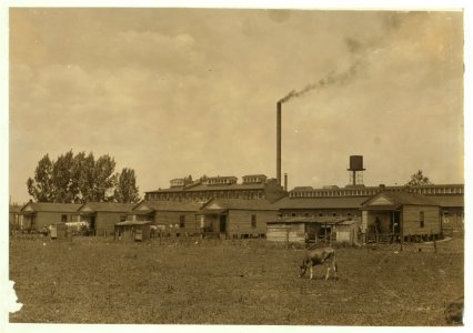 Housing conditions at Roanoke (Va.) Cotton Mills are not very good. Houses run down and not well kept. LOC cph.3a29779