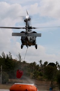 HSC-25 conducts wildfire training 150220-N-OG363-016