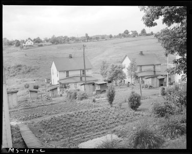 Houses in company housing project. Koppers Coal Division, Federal ^1 Mine, Grant Town, Marion County, West Virginia. - NARA - 540283