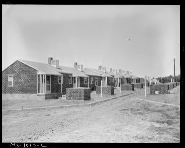 Houses in government housing project originally intended for coal miners. Oil field workers occupy a few of these... - NARA - 540649