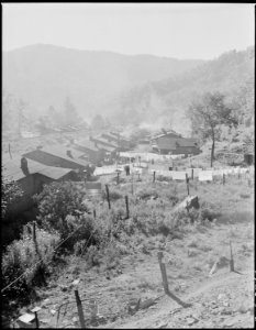 Housing for miners owned and rented privately by Mrs. S. E. Bennett, owner of Benito Mine, Benito, Kentucky. Benito... - NARA - 541386 photo