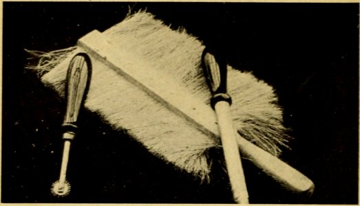 How to Keep Bees 36a