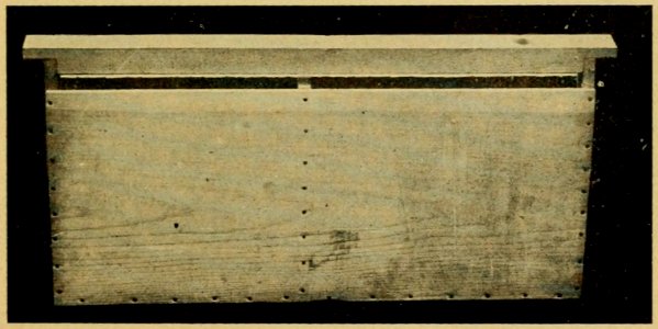 How to Keep Bees 121c