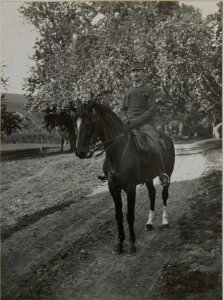 Hptm. HILDEMANN (Generalstab) in PRZEWLOKA. (BildID 15450962)