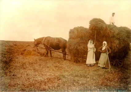 Hrozaŭ. Грозаў (I. Sierbaŭ, 1912) (2)