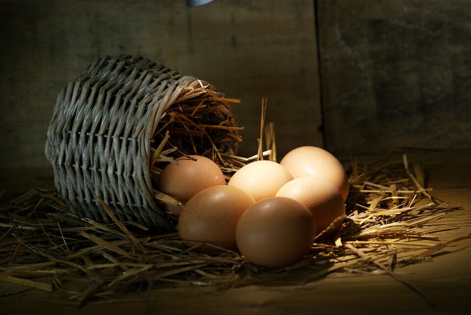 Nature still life farm