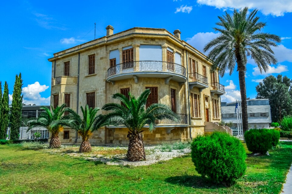 Palm building vintage