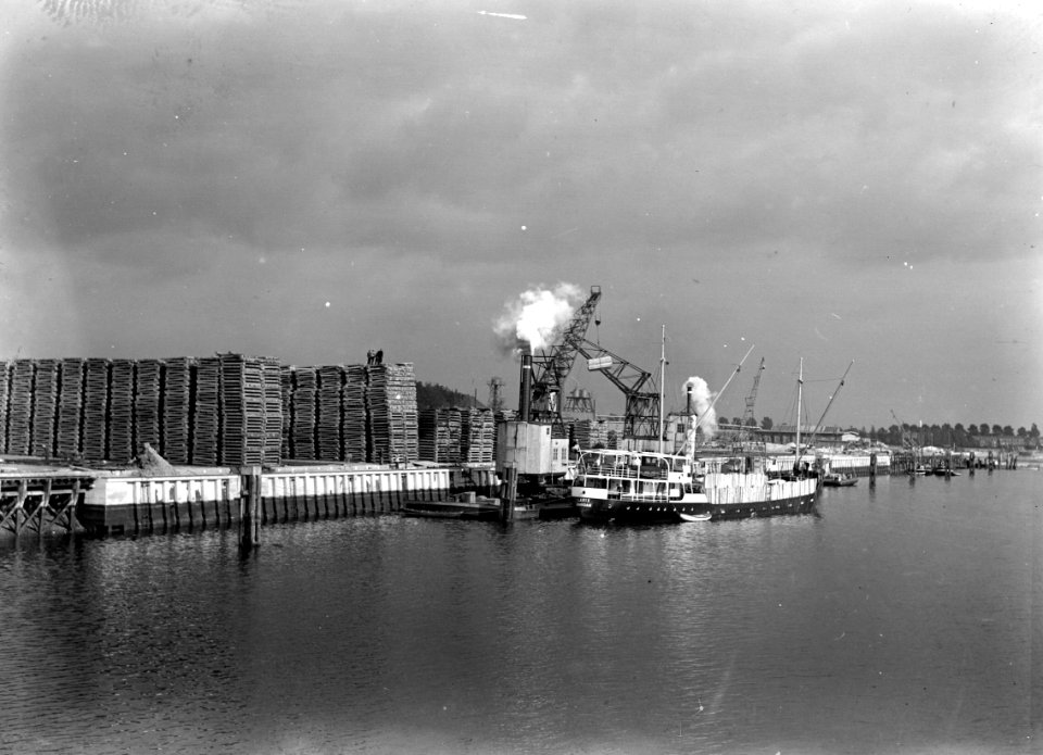HUA-167694-Gezicht op het Houtbereidingsbedrijf van de N.S. (HBI) aan de Wilhelminahaven te Dordrecht