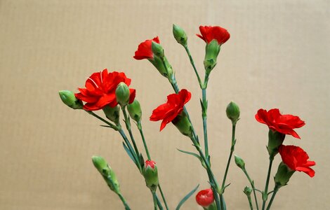 Red natural picture
