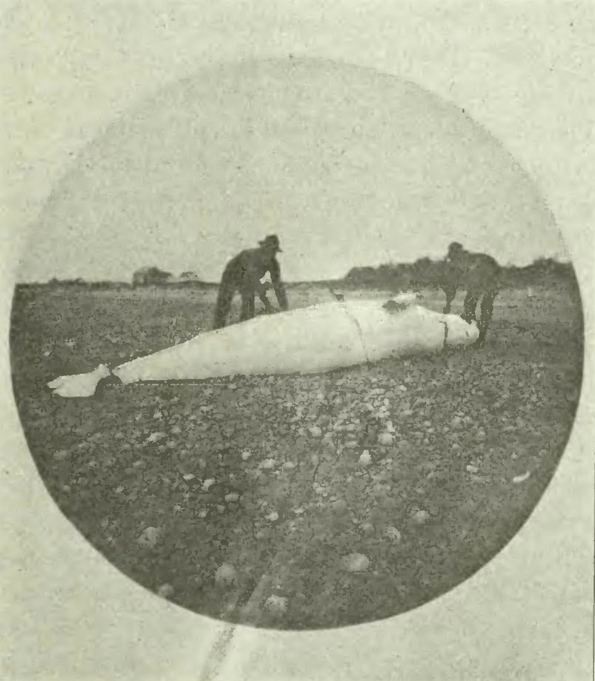 Huard - Labrador et Anticosti, 1897 (page 157 crop)