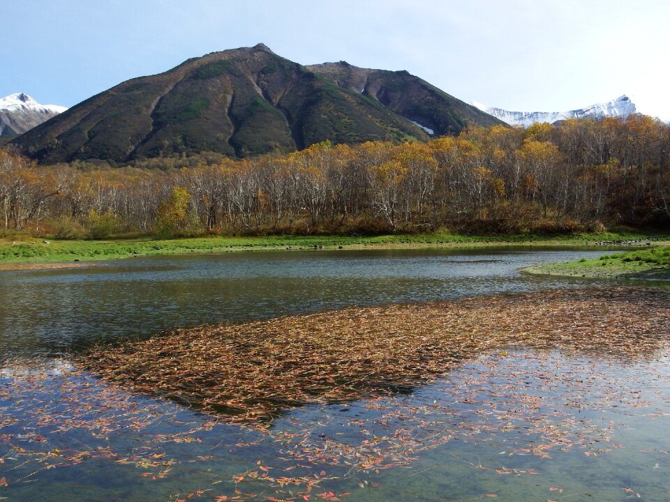 Volcano autumn trees
