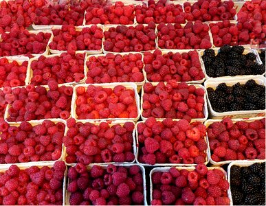 Food berries fruits